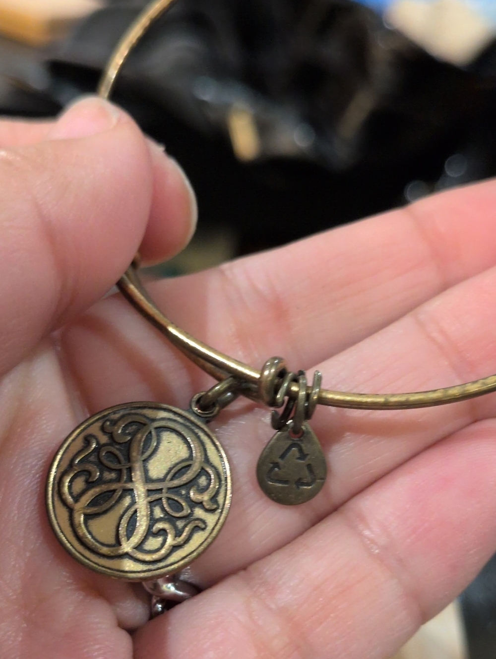 Alex and Ani Path of Life Charm Bangle Bracelet - Rafaelian Gold Finish